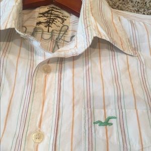 Hollister Button Down